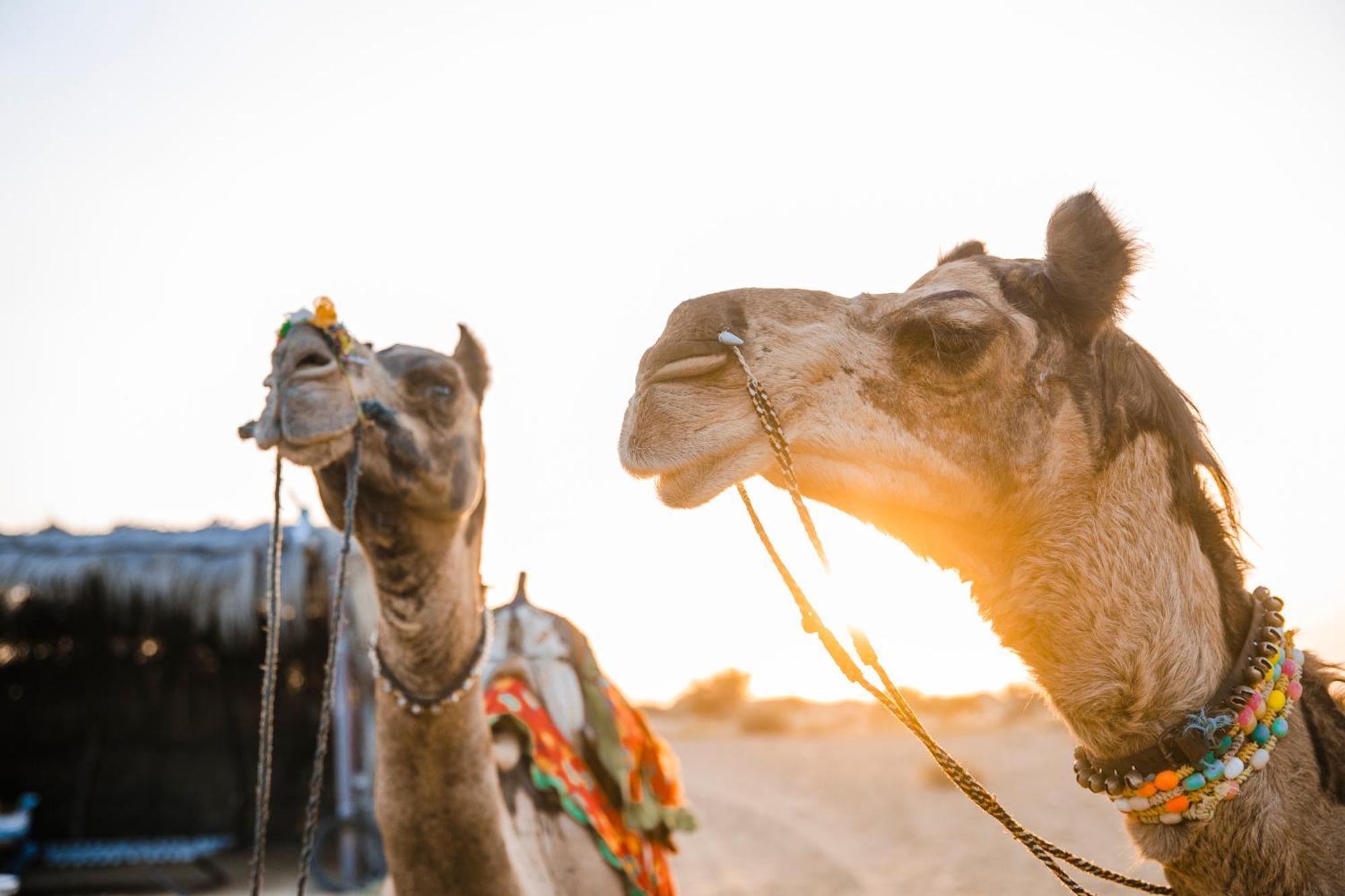 Casa De Kaku Jaisalmer Zewnętrze zdjęcie