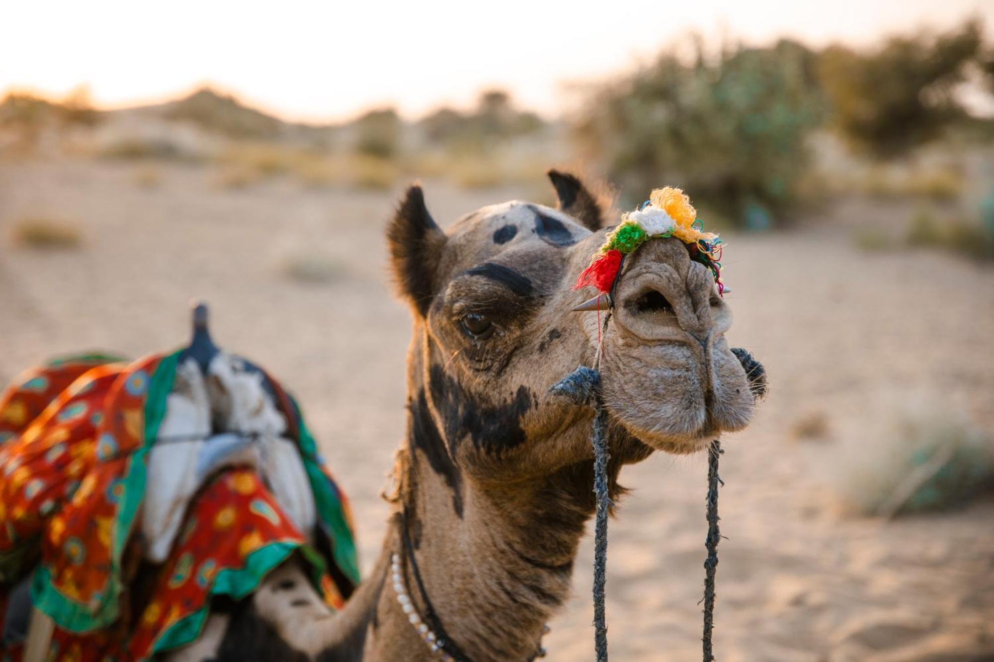 Casa De Kaku Jaisalmer Zewnętrze zdjęcie